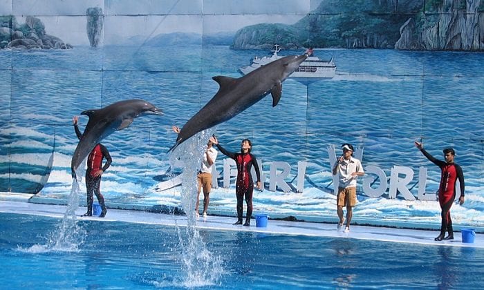 Chia sẻ kinh nghiệm du lịch Tuần Châu tự túc thực tế nhất 2019