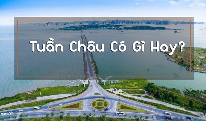Bạn Có Biết Du Lịch Tuần Châu Hạ Long Có Gì Hay Năm 2019 ? 