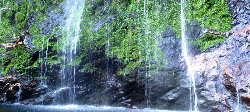 thác bạc nổi tiếng ở sapa