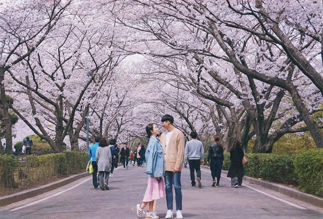 Tour Hàn Quốc – Seoul – Nami – Núi Seorak 6 ngày