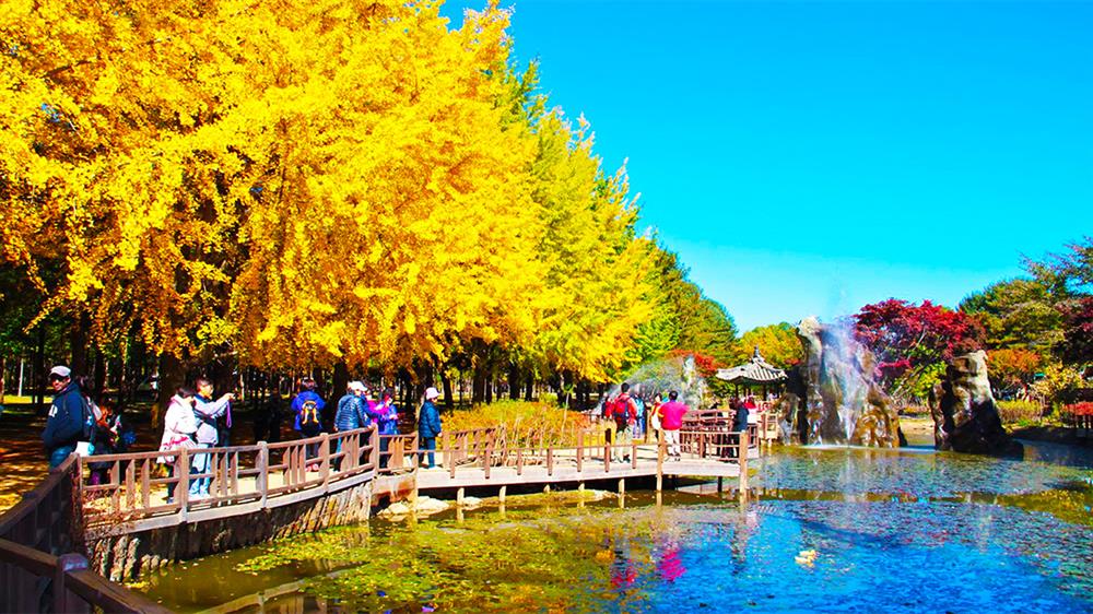 Du lịch Hàn Quốc – Seoul – Nami – Cheju – Everland 6 ngày 5 đêm