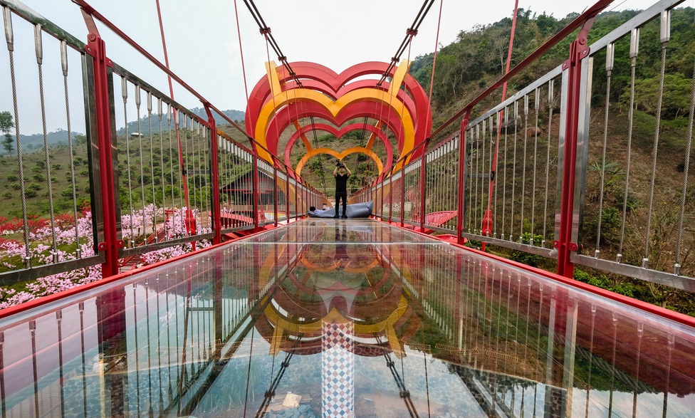 Cầu kính tình yêu 5D