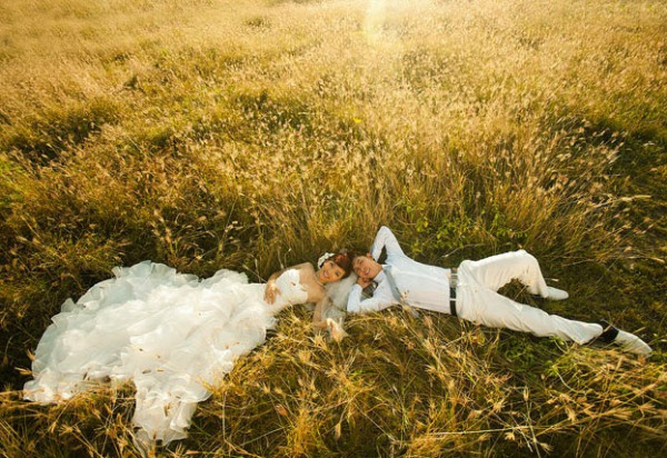 cánh đồng hoa rễ