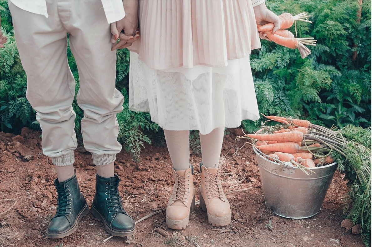 cánh đồng cà rốt Hải Dương