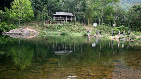 Khu rừng nguyên sinh Khe Rỗ