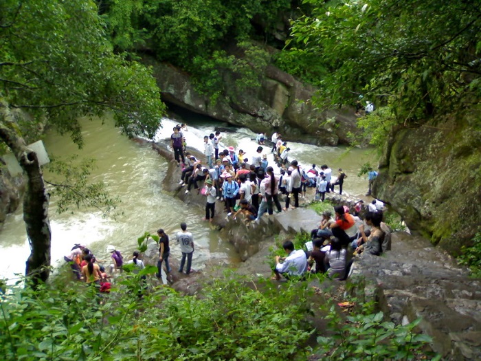 Khu du lịch sinh thái Đồng Thông
