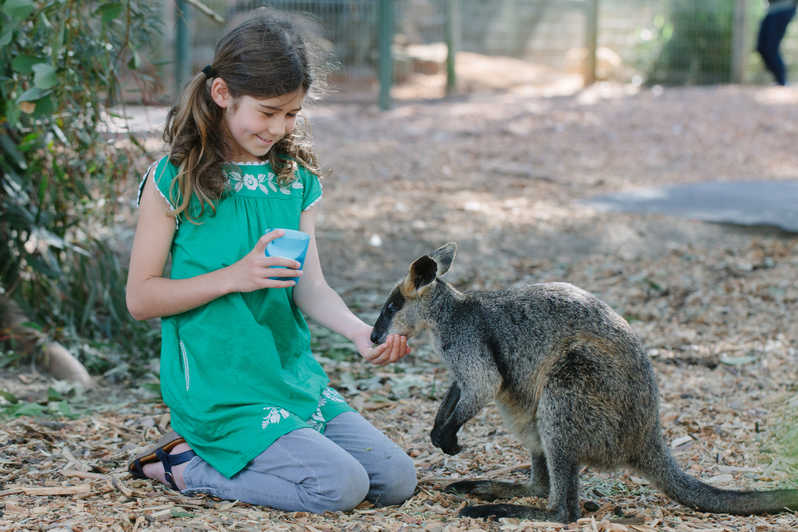 Featherdale Wildlife Park