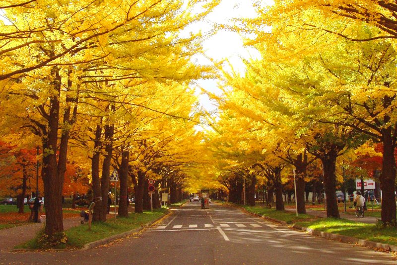 Những Địa Điểm Du Lịch Mùa Thu Đẹp Mê Hồn Khách Du Lịch