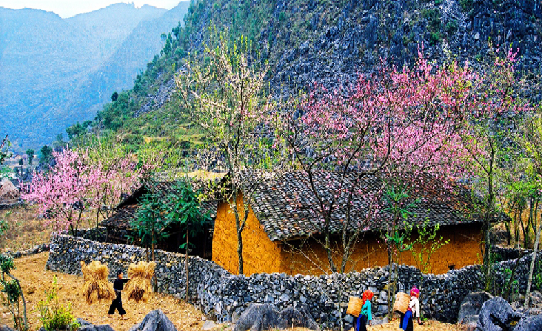 cao nguyên đá Hà Giang