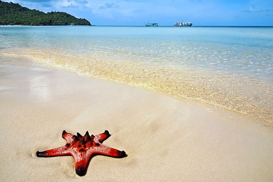 Bãi sao Phú Quốc