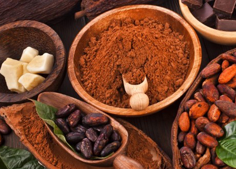 địa chỉ bán bột cacao nguyên chất 