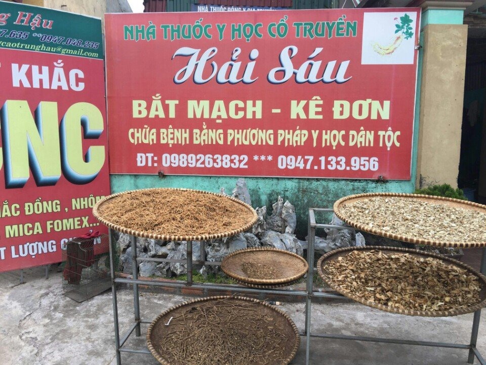 Các điểm khám Đông Y, cắt thuốc Bắc tại Thái Bình