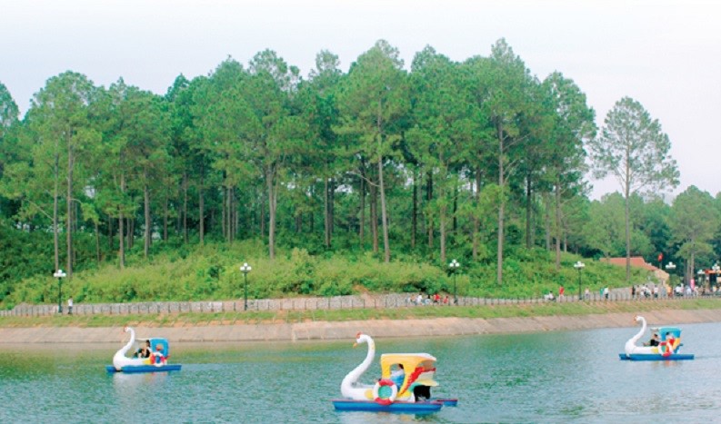 Giới thiệu về rừng thông Bản Áng Mộc Châu 