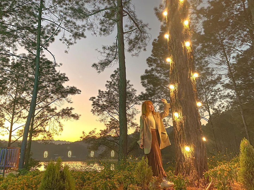  Các điểm checkin đẹp ở rừng thông bản Áng