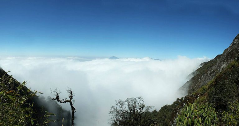 Bạch Mộng Lượng Tử ở đâu ?