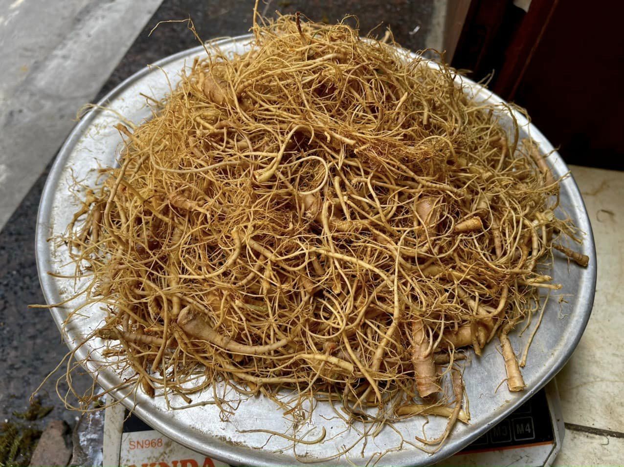 Đặc điểm nhận dạng Sâm Trường Bạch