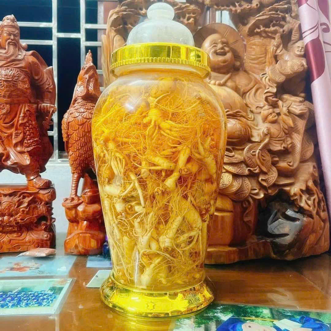 Cách sử dụng rễ sâm Trường Bạch