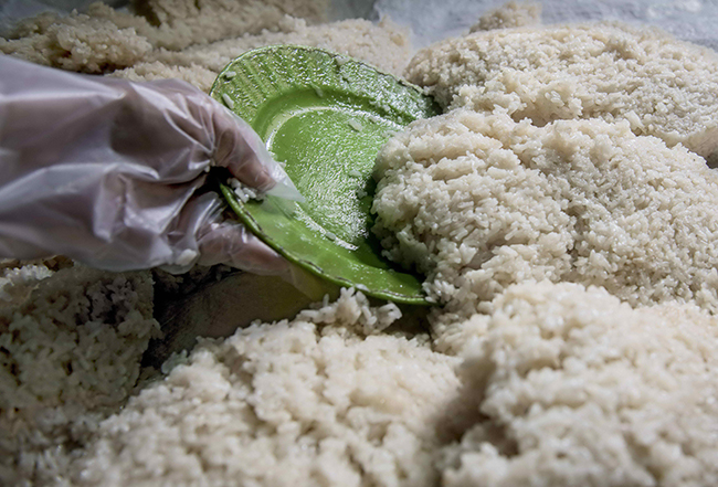 Quy trình nấu rượu Bàu đá Bình Định