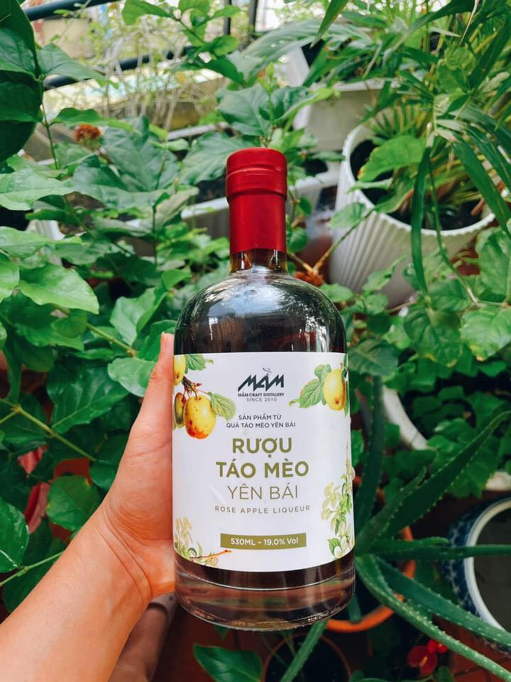 Lợi ích khi uống rượu Mầm – táo mèo