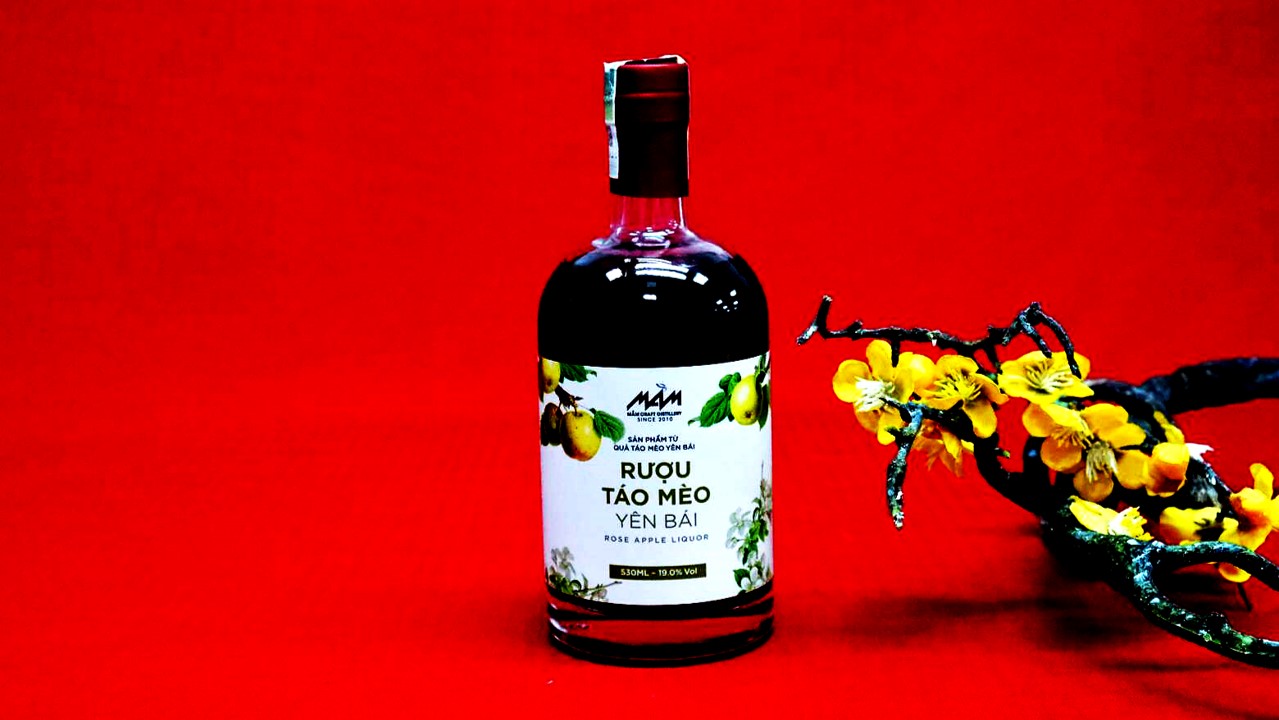 Lưu ý khi sử dụng rượu Mầm – táo mèo