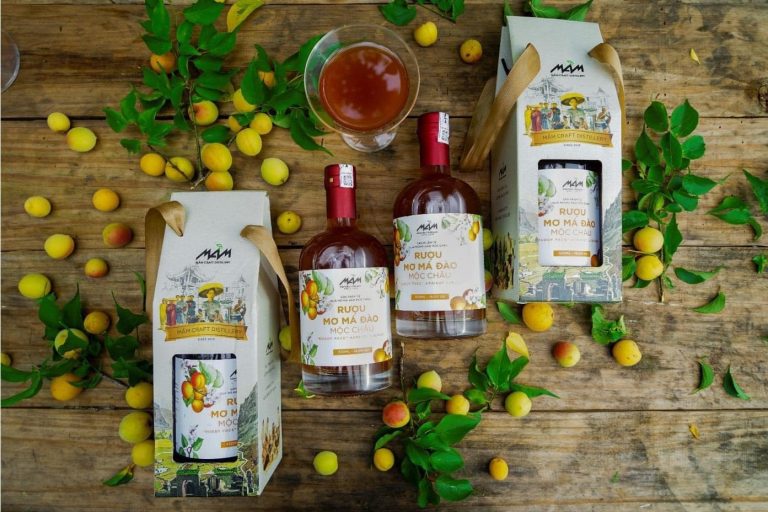 Cách sử dụng và bảo quản rượu đúng cách tại nhà