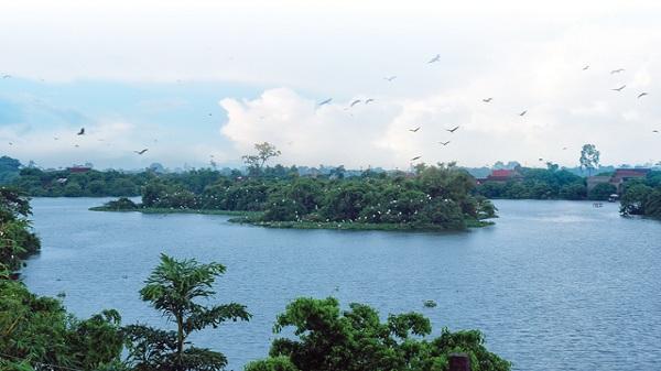 Thời điểm nên du lịch đảo cò Thanh Miện Hải Dương