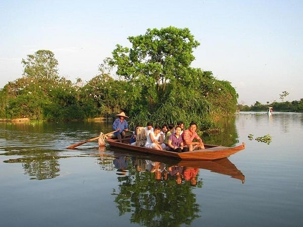 Đảo cò Thanh Miện Hải Dương