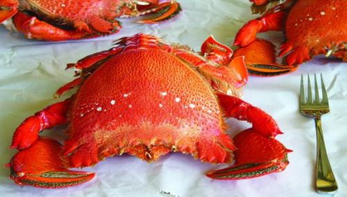 Cua huỳnh đế Cua huỳnh đế