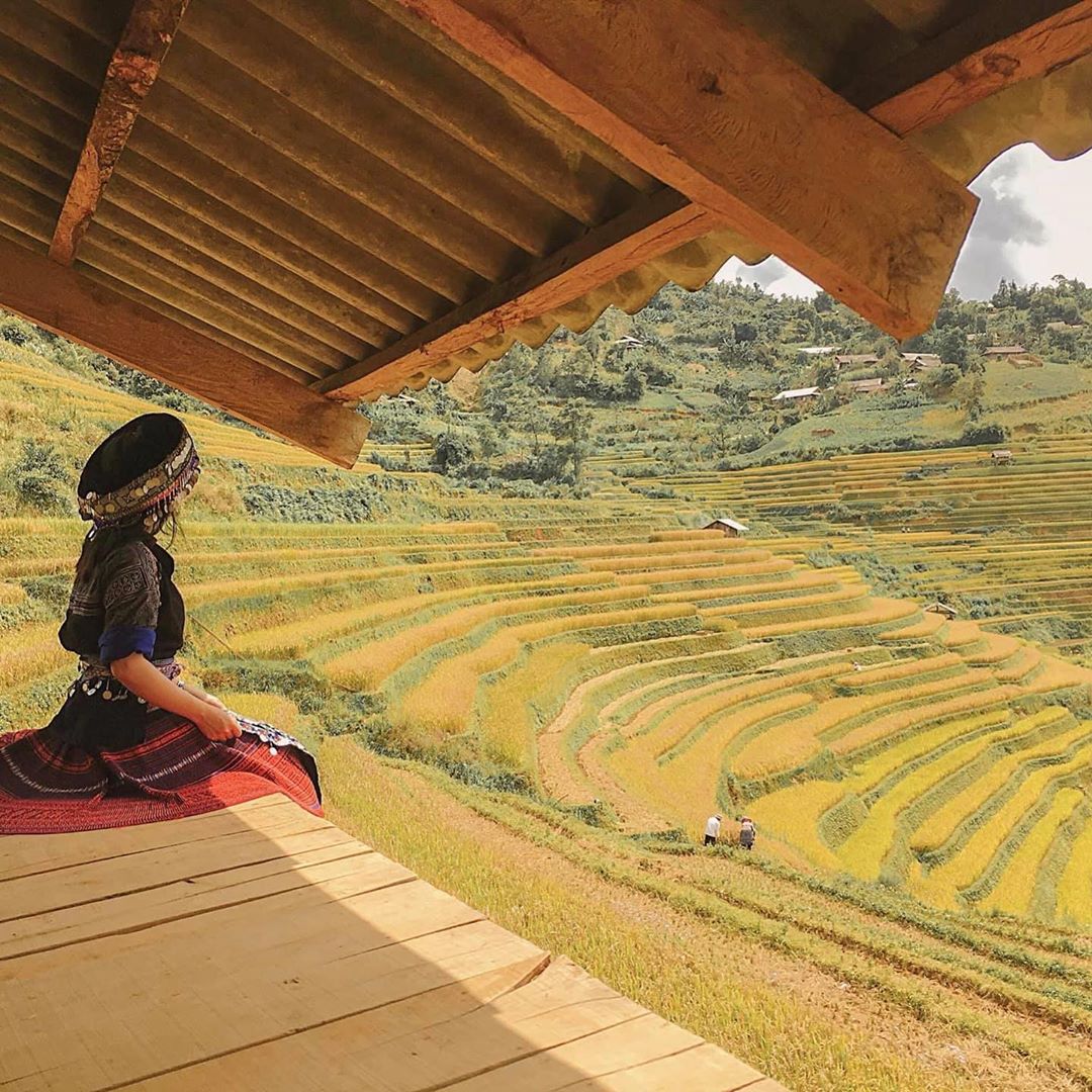 Đồi mâm xôi Mù Cang Chải