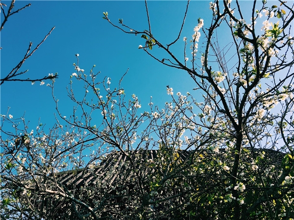 Tour Du Lịch Hà Nội - Điện Biên - Hà Nội 3 Ngày 2 Đêm