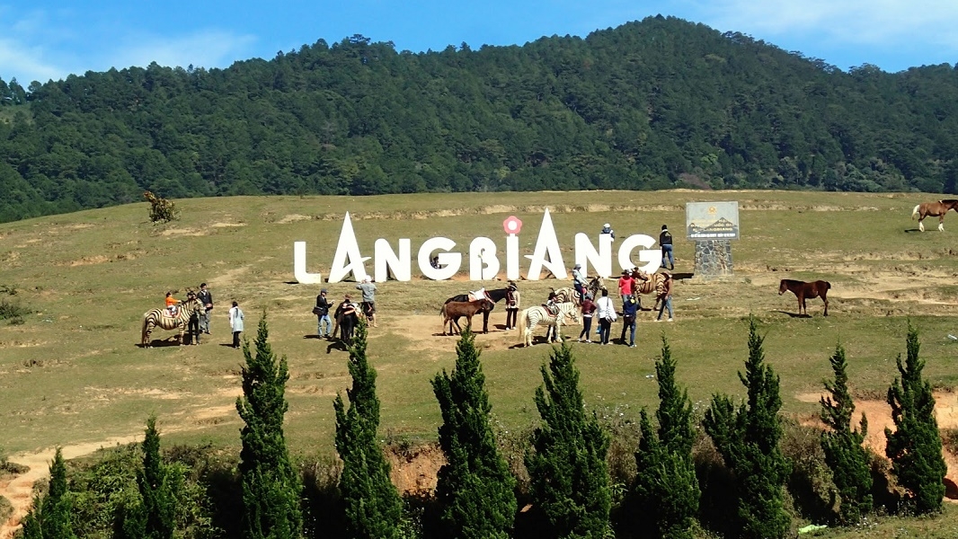 Giá tour Nha Trang Đà Lạt