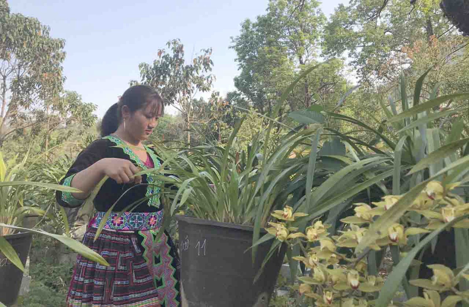 Bản Hoa Lan (Sin Suối Hồ)