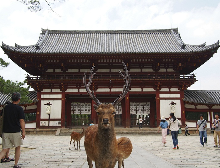 Den Todaiji